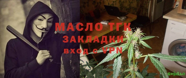 стаф Алексин