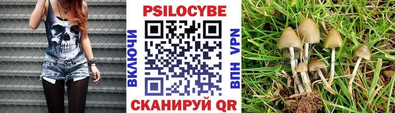 закладка  Хадыженск  Псилоцибиновые грибы мицелий 