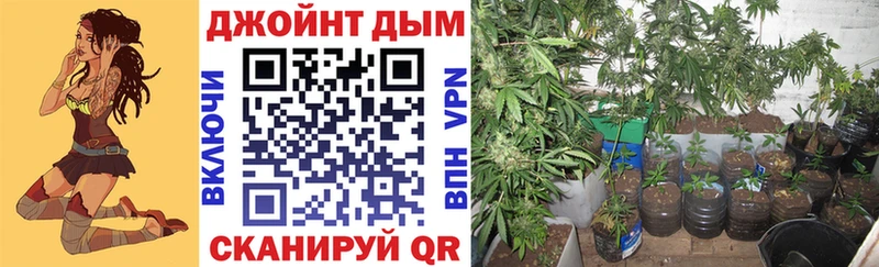 Бошки Шишки конопля  Хадыженск 